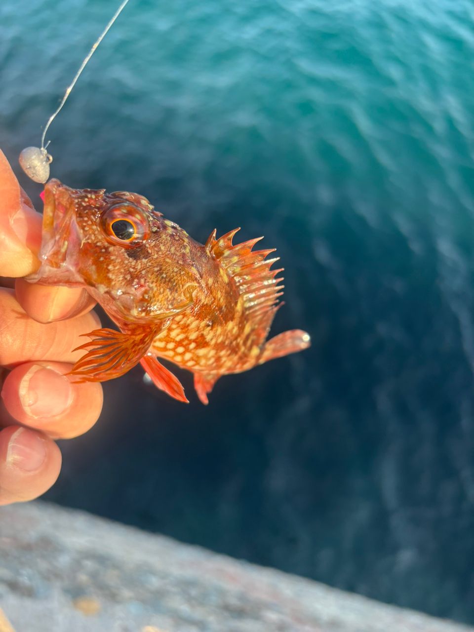 TENRYU ルナキア LK582S-LSの最安値・インプレ・釣果 | 本音の口コミが