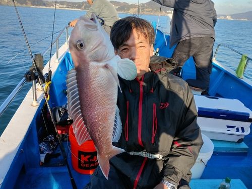 アマダイの釣果