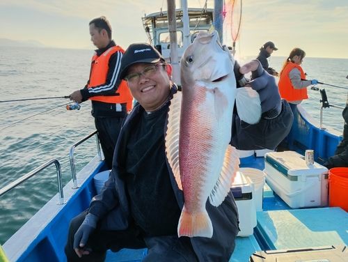 アマダイの釣果