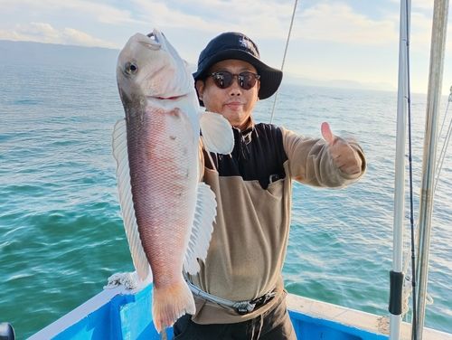 アマダイの釣果