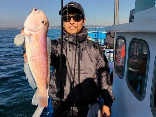 アマダイの釣果