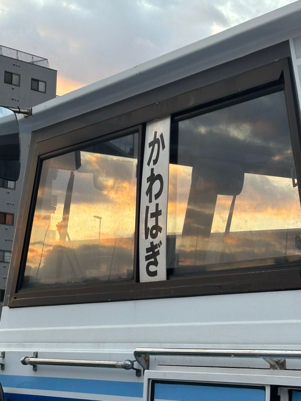 もふもふあきさんの釣果 2枚目の画像