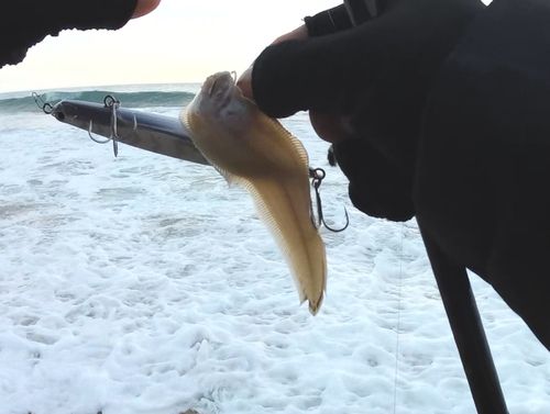 新舞子海岸（いわき）