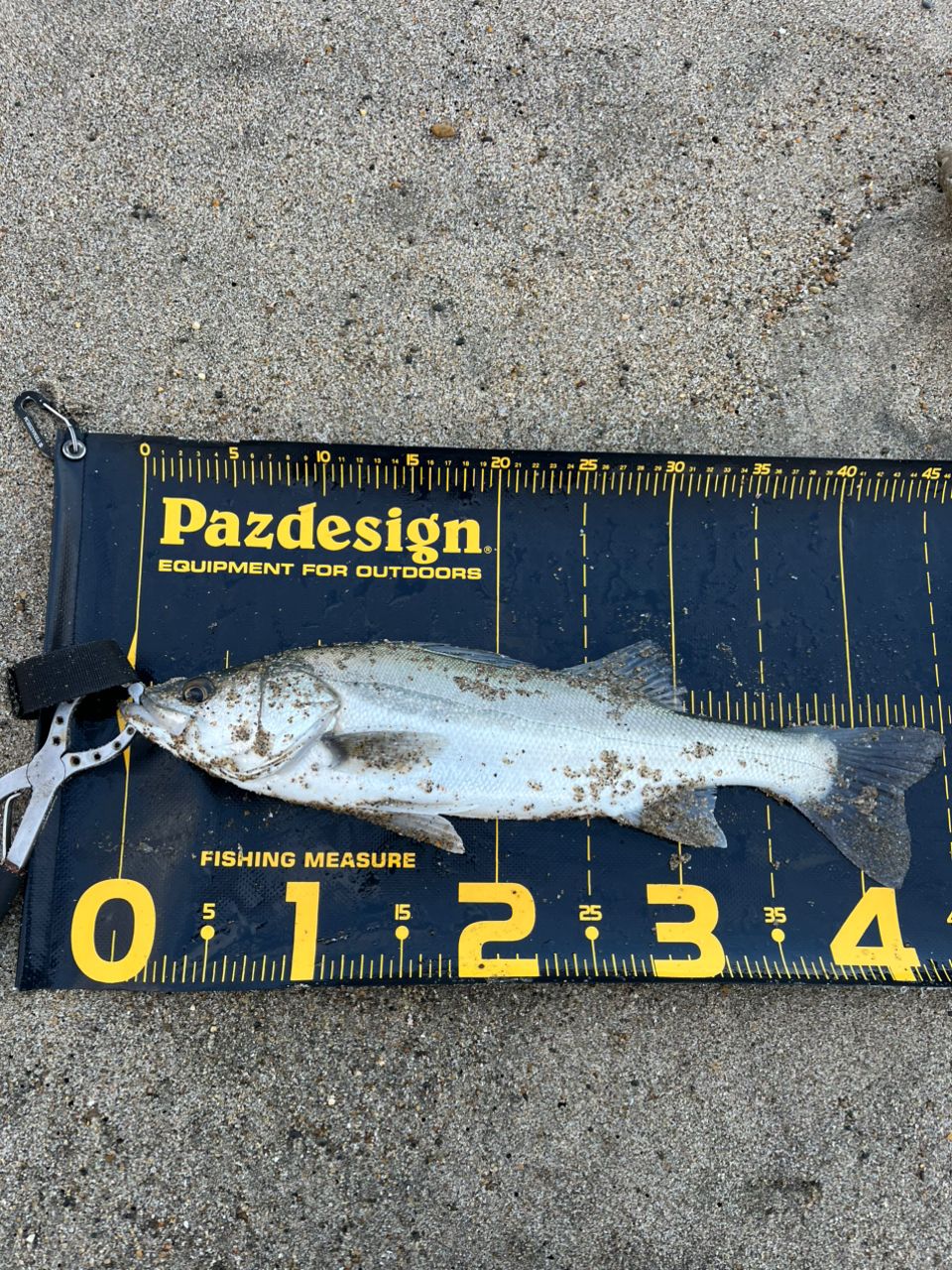 23DIALUNA S100M ディアルーナ　*送料込み シマノ 23 ディアルーナ S100M 2023モデル 大型便B 爆買