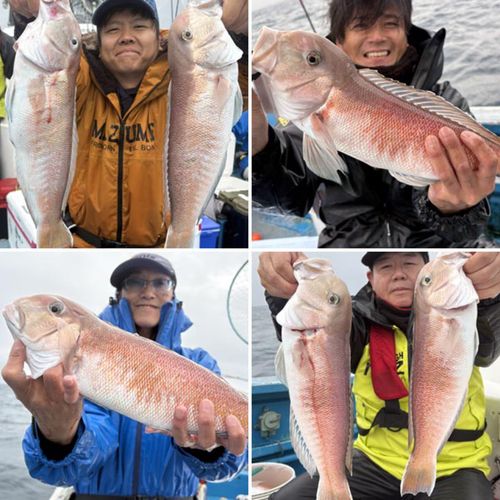 シロアマダイの釣果