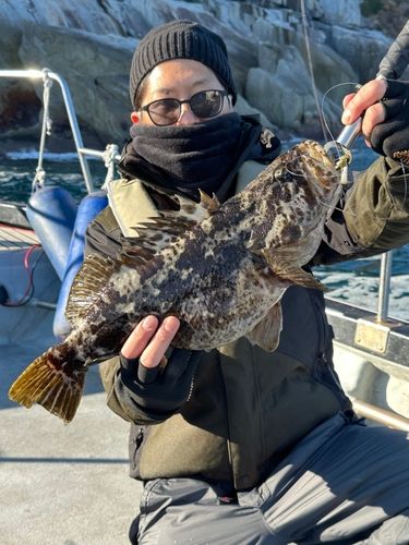 ベッコウゾイの釣果