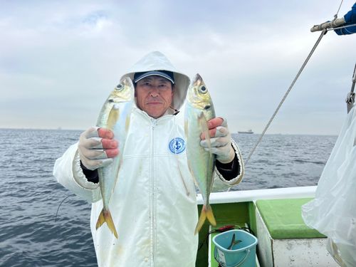 マアジの釣果