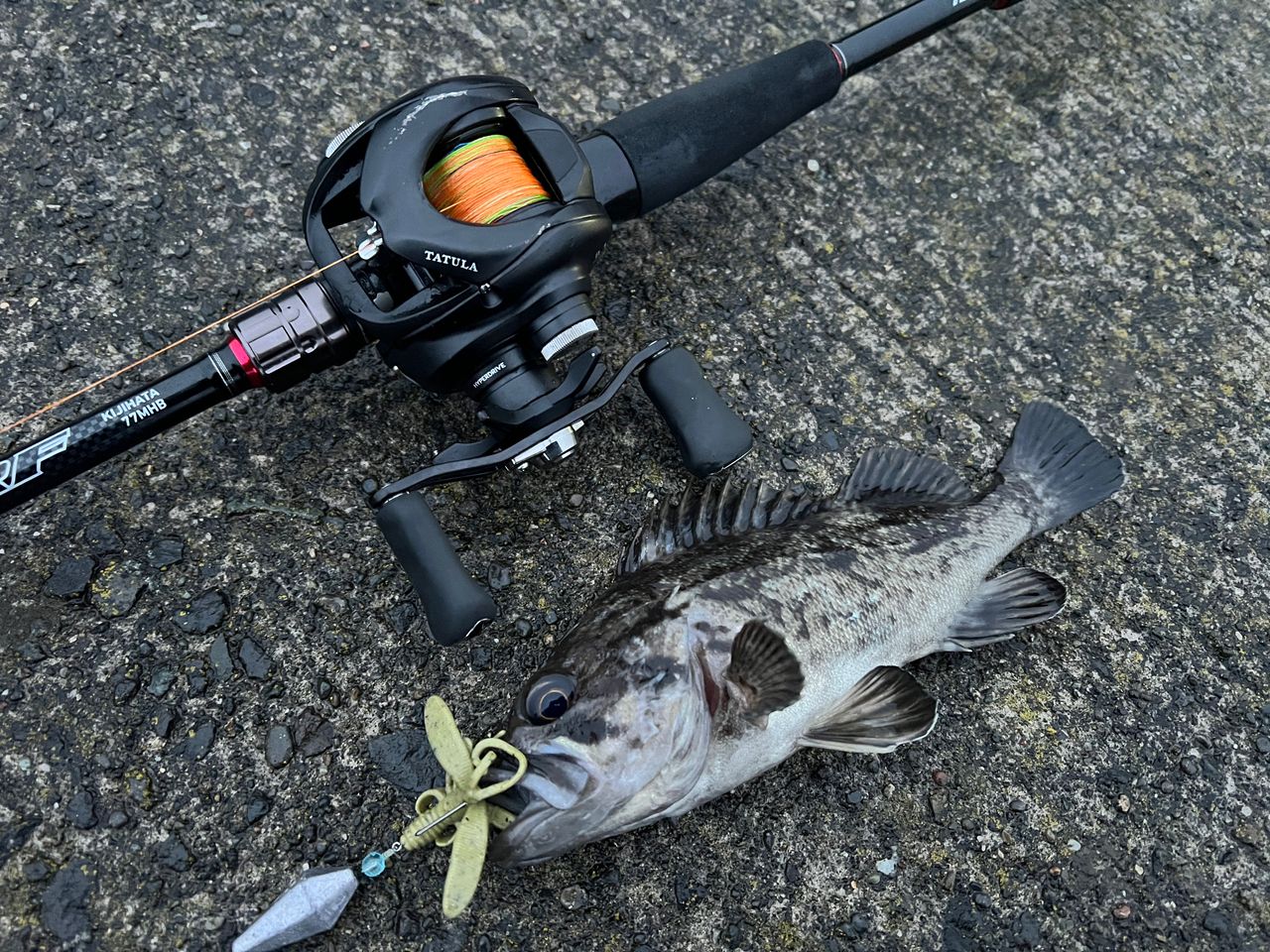 DAIWA 16HRF® (ハードロックフィッシュ) KJ 77MHBの最安値・インプレ
