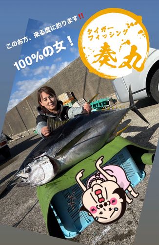 キハダマグロの釣果
