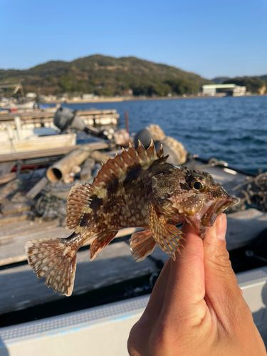 仮屋湾西遊魚センター