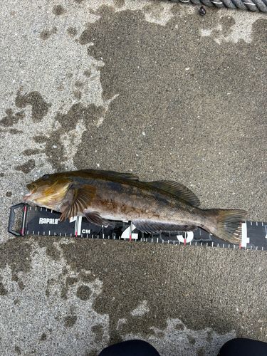 三陸海岸（岩手）