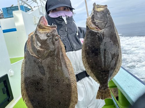 ヒラメの釣果