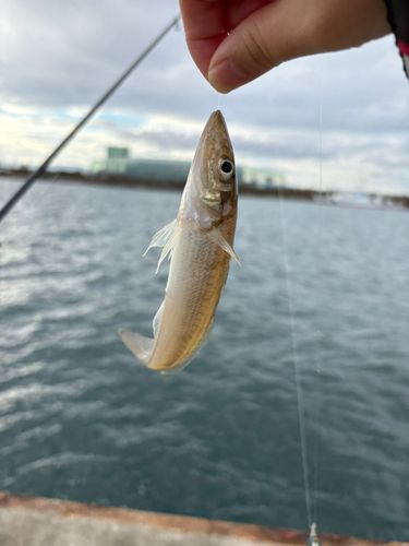 小名浜港アクアマリンふくしま周辺