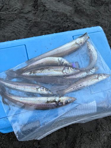 茅ヶ崎ヘッドランド