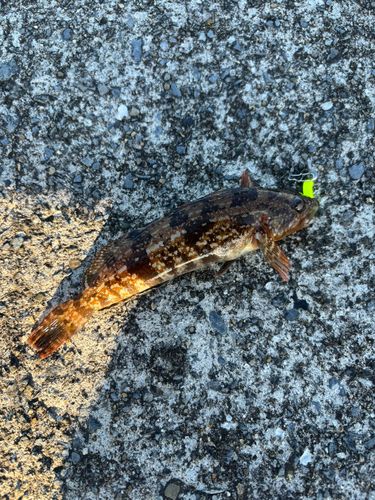 石巻漁港赤灯防波堤