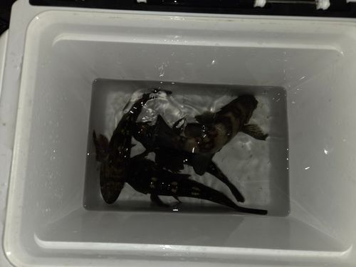 東京湾（アクアライン〜富津）