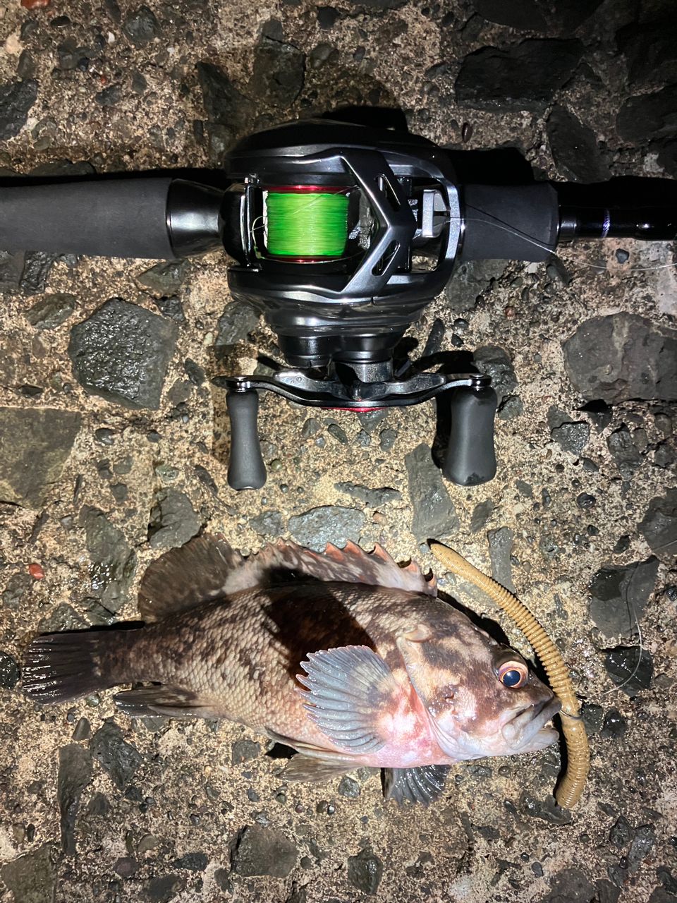 DAIWA 21アルファス エア TW 7.1Rの最安値・インプレ・釣果 | 本音の