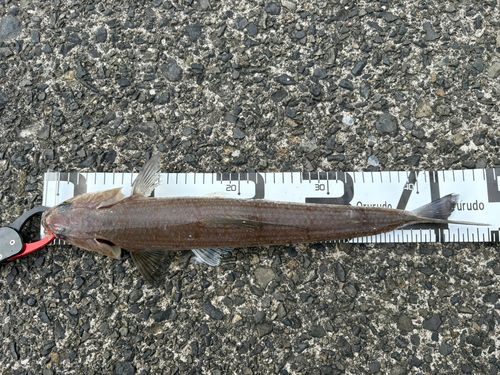 鞠山海遊パーク