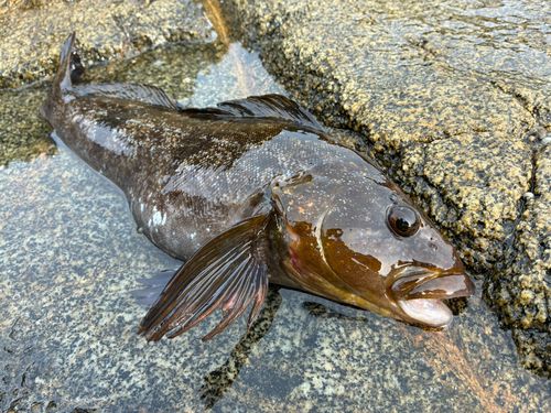 三陸海岸（岩手）