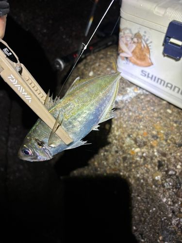 日吉原公共埠頭