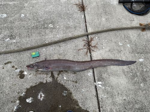 船越湾（岩手）