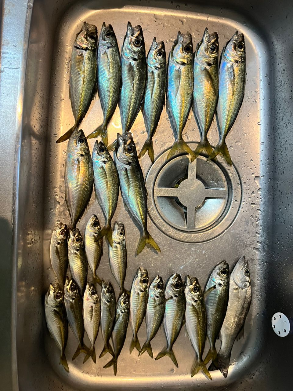 ソアレss s54sul-s アジング シマノ「22ソアレSS アジング S54SUL-S」を購入！特徴や現時点での