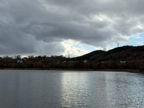 ワカサギの釣果