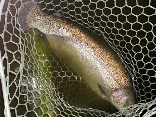 ベリーパーク in FISH ON! 王禅寺