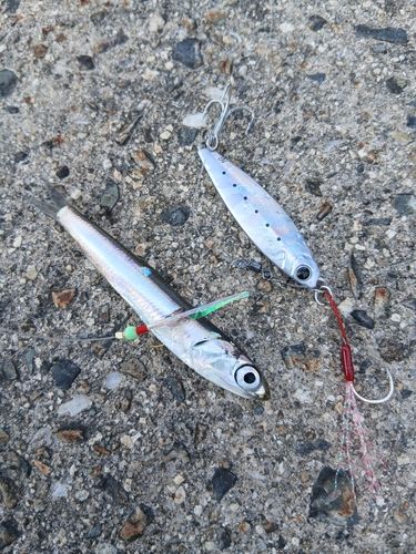 周防大島（屋代島）