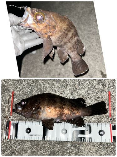 三陸海岸（岩手）