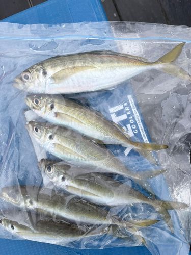 小名浜港アクアマリンふくしま周辺