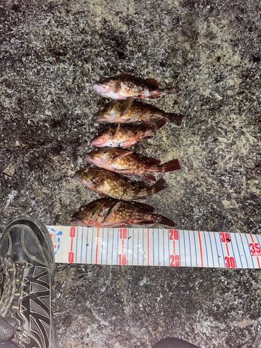 日和山浜海水浴場