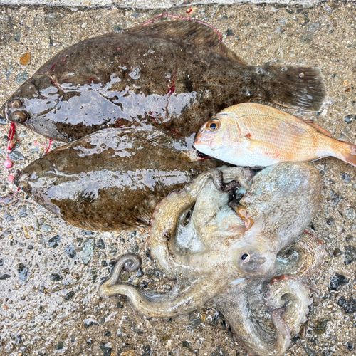 アジュール舞子