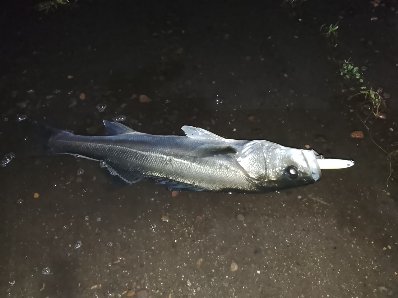 YAMAGA Blanks バリスティックヒラ TZ ナノ 107MHの最安値・インプレ