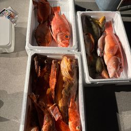 チカメキントキ