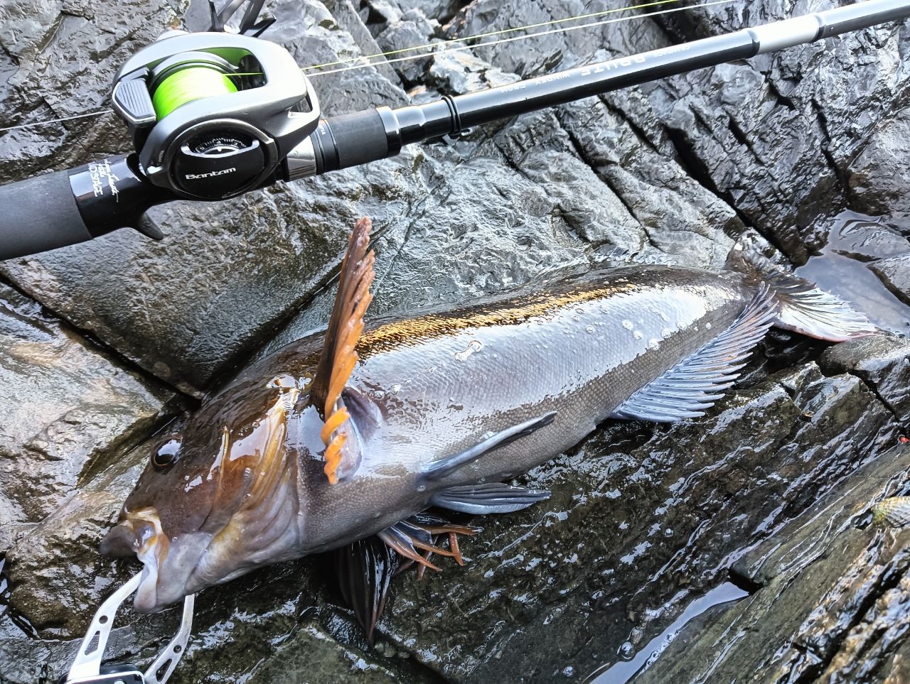 SHIMANO 22バンタム XG LEFTの最安値・インプレ・釣果 | 本音の口コミ