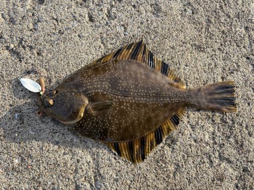 三陸海岸（青森）