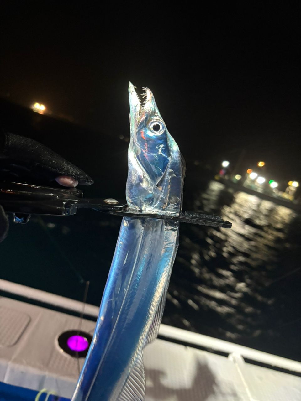 SHIMANO 19ライトゲーム BB TYPE73 H195の最安値・インプレ・釣果