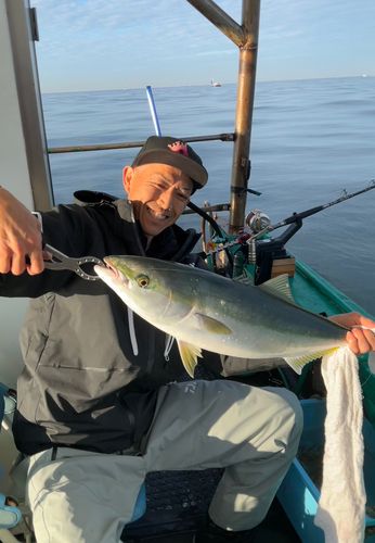 ハマチの釣果