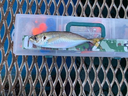 本牧海づり施設