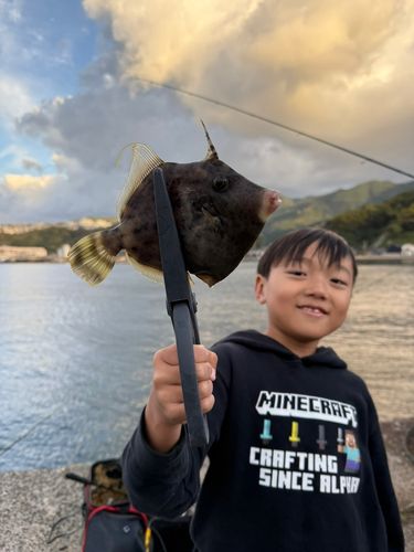 カワハギの釣果