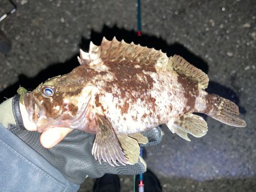 東京湾（アクアライン〜富津）