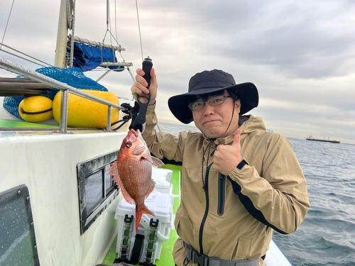 マダイの釣果