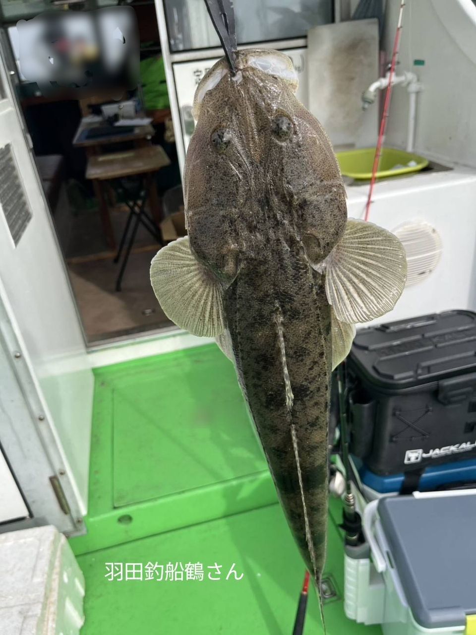 King of Fishermanさんの釣果 1枚目の画像