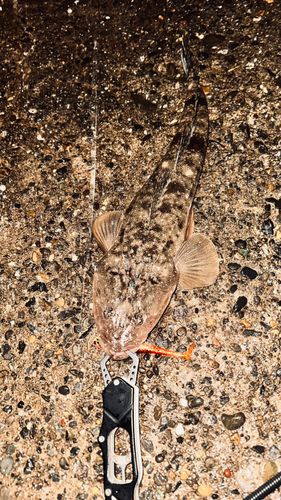 東京湾（富津〜金谷）