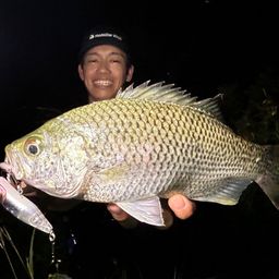 オオクチユゴイ