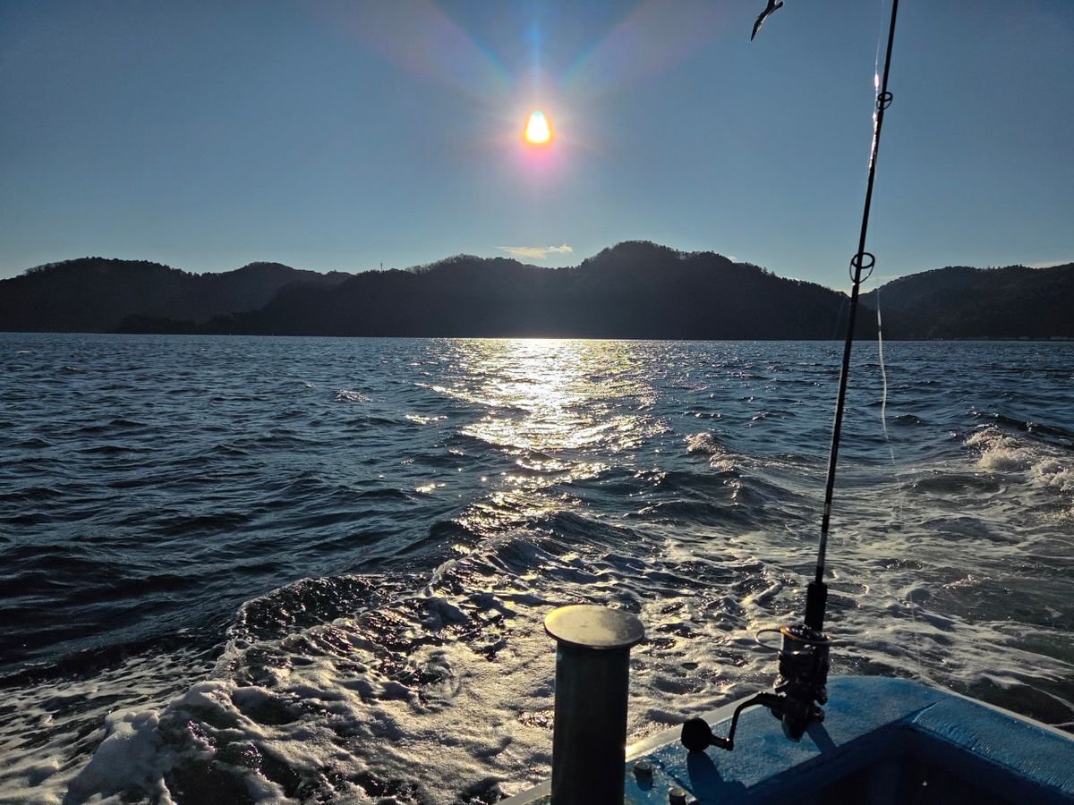 謎アングラ～Mさんの釣果 3枚目の画像