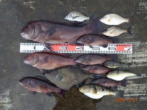 神戸空港親水護岸