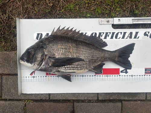 大黒海づり施設