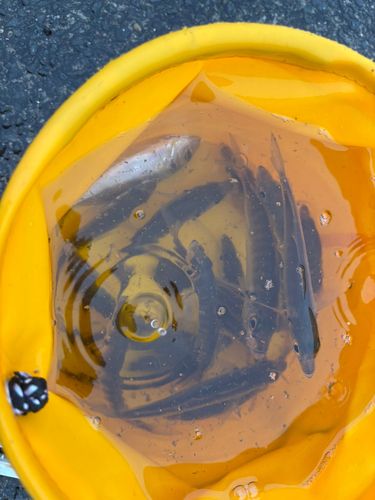 泉佐野食品コンビナート